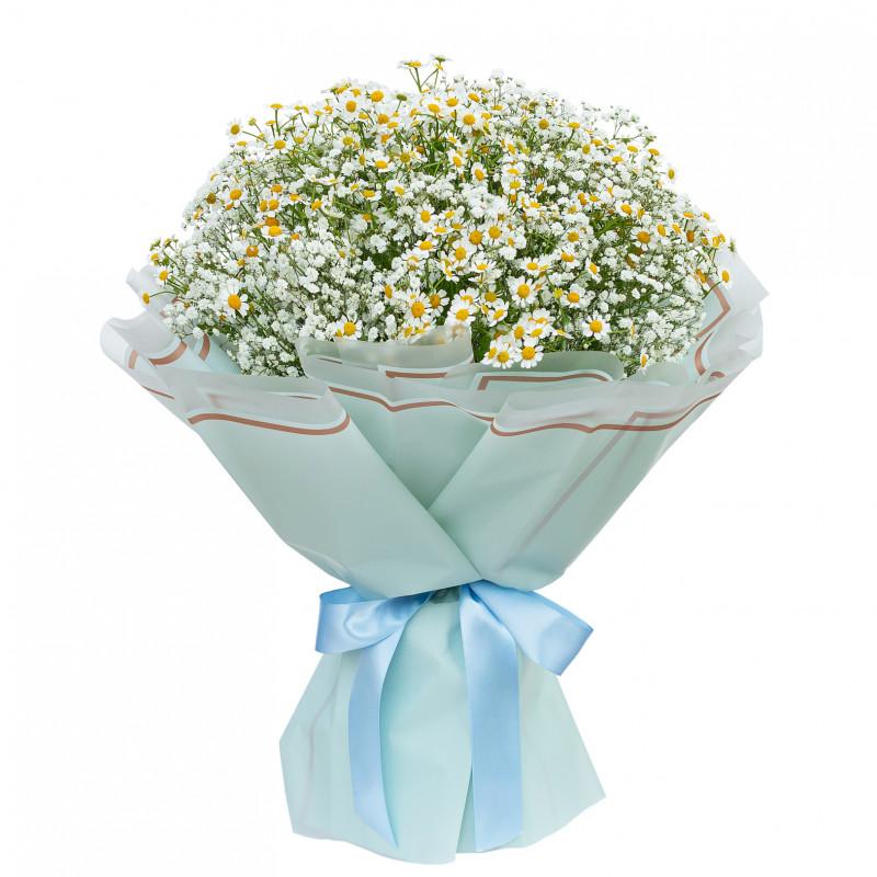 Vẻ đẹp tinh khôi của hoa baby breath màu trắng, thường được dùng trong bó hoa cưới và trang trí